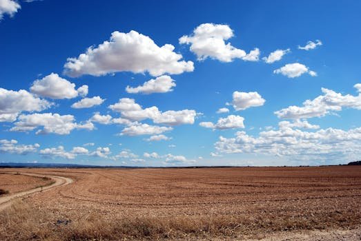 field-clouds-sky-earth-46160-46160 Expansive rural field with fluffy clouds and a clear blue sky.
